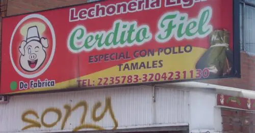 LECHONERIA LIGHT CERDITO FIEL LECHONERIA LIGHT CERDITO FIEL